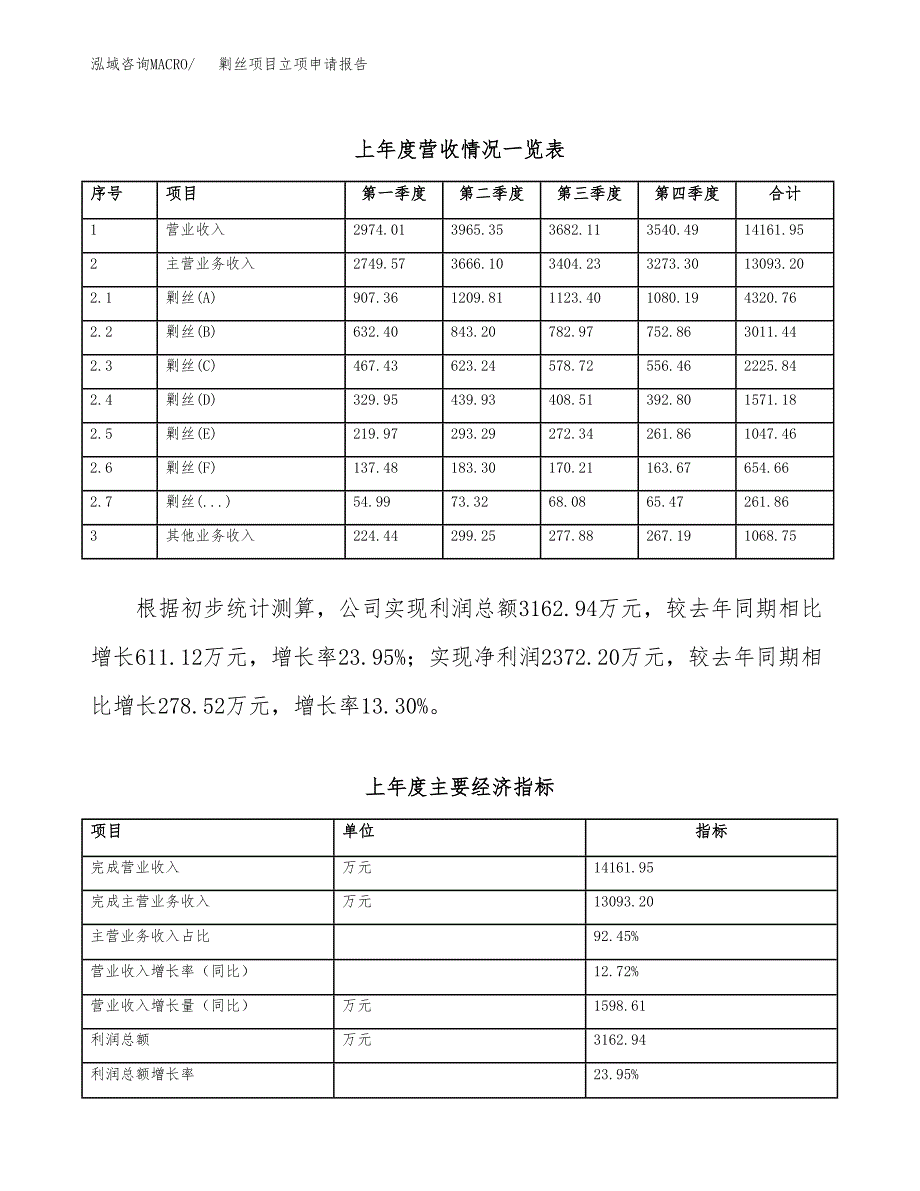 剿丝项目立项申请报告模板（总投资8000万元）_第3页