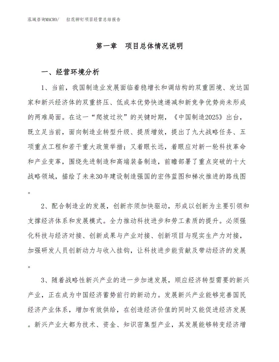 拉花铆钉项目经营总结报告范文模板.docx_第2页