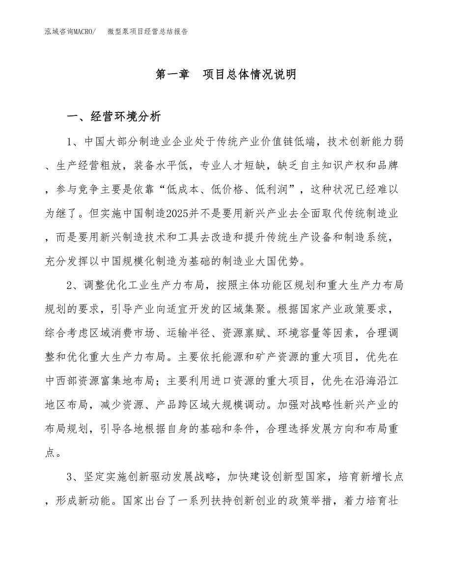 微型泵项目经营总结报告范文模板.docx_第2页