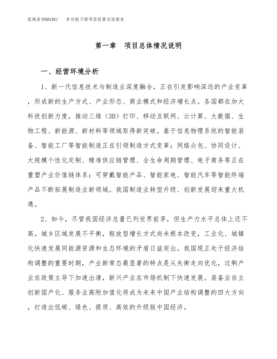 多功能刀钳项目经营总结报告范文模板.docx_第2页