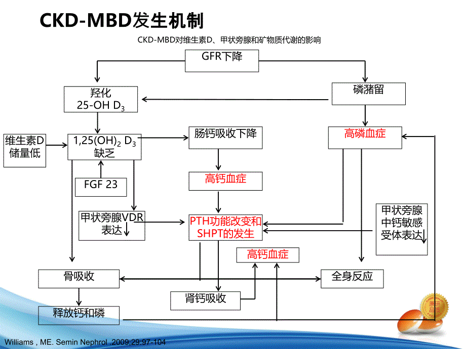 钙磷调节对治疗ckd-mbd的作用-陈靖_第3页