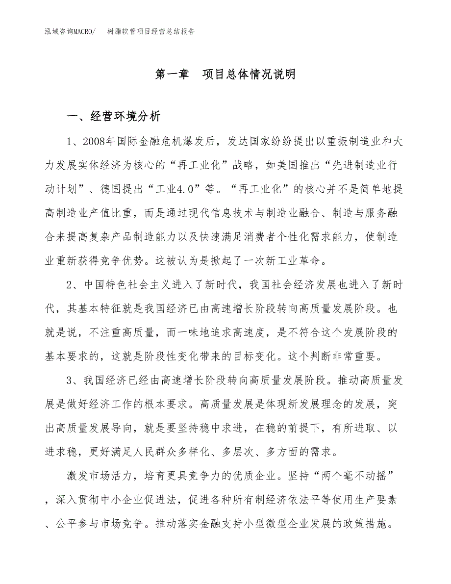 树脂软管项目经营总结报告范文模板.docx_第2页