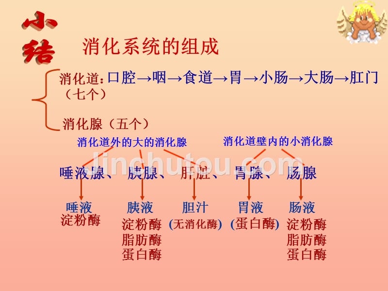 四年级科学下册3食物2食物中的营养课件7教科版_第5页