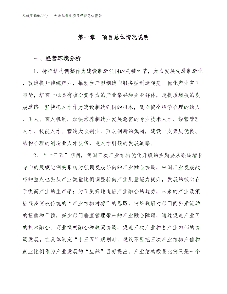 大米包装机项目经营总结报告范文模板.docx_第2页