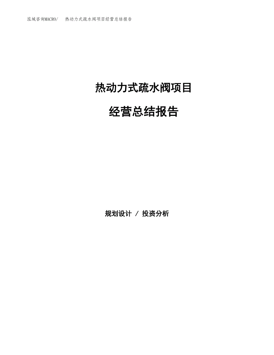 热动力式疏水阀项目经营总结报告范文模板.docx_第1页