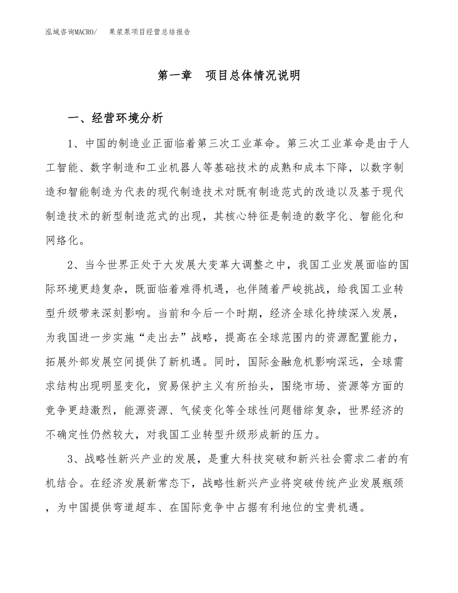 果浆泵项目经营总结报告范文模板.docx_第2页