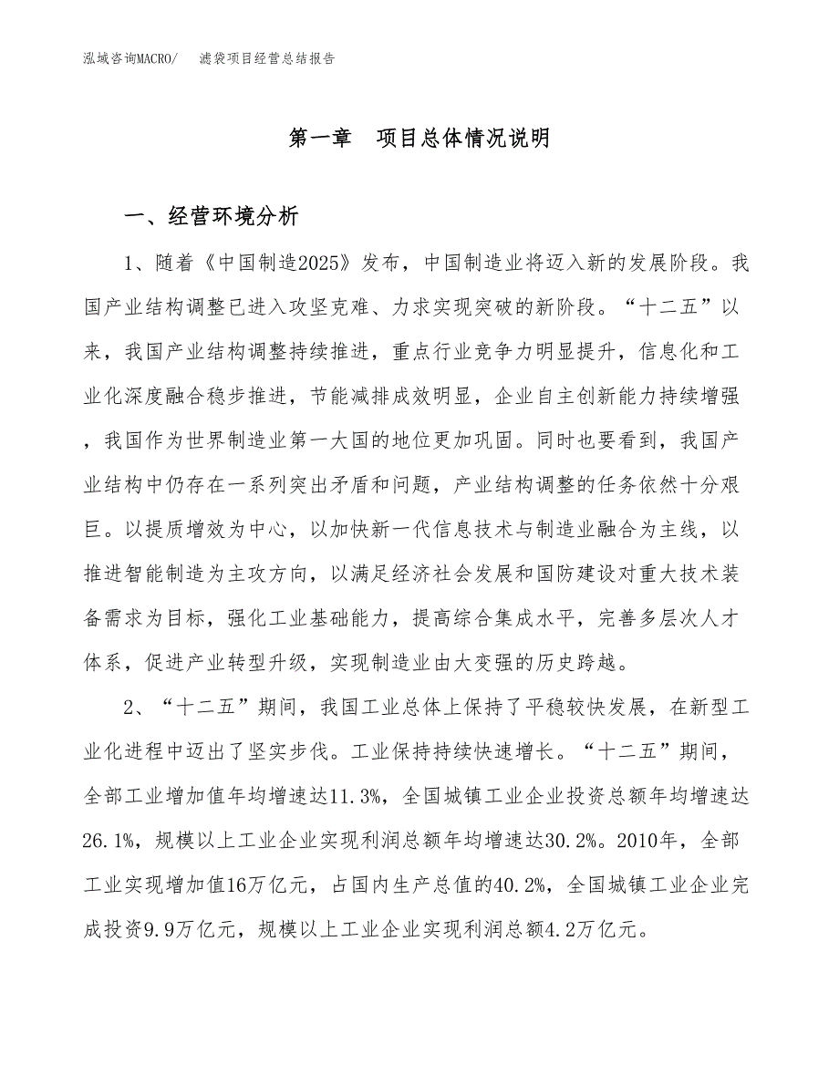 滤袋项目经营总结报告范文模板.docx_第2页