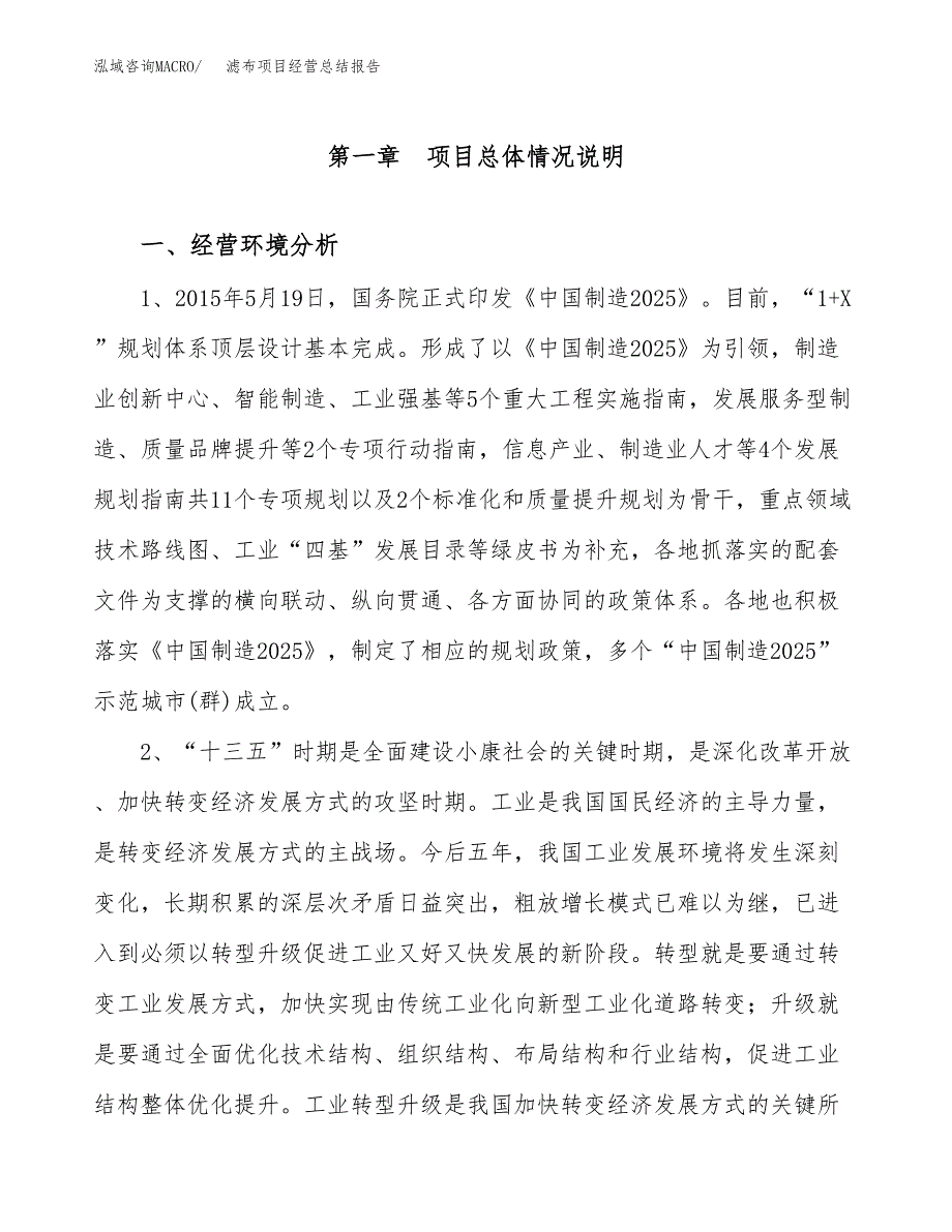 滤布项目经营总结报告范文模板.docx_第2页