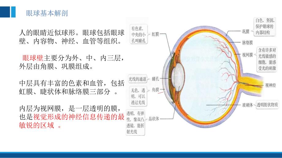 玻离体切割手术配合_第3页