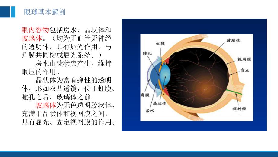 玻离体切割手术配合_第4页