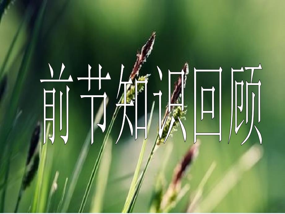 三年级上册科学课件 1.3 大树和小草教科 版_第2页