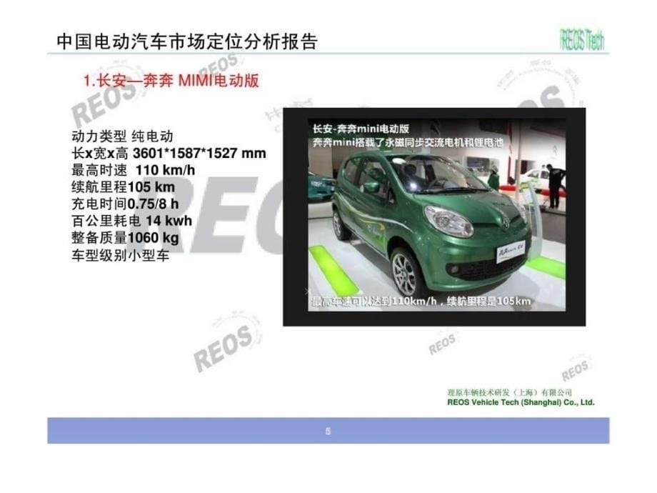 中国纯电动车的市场定位分析报告_第5页