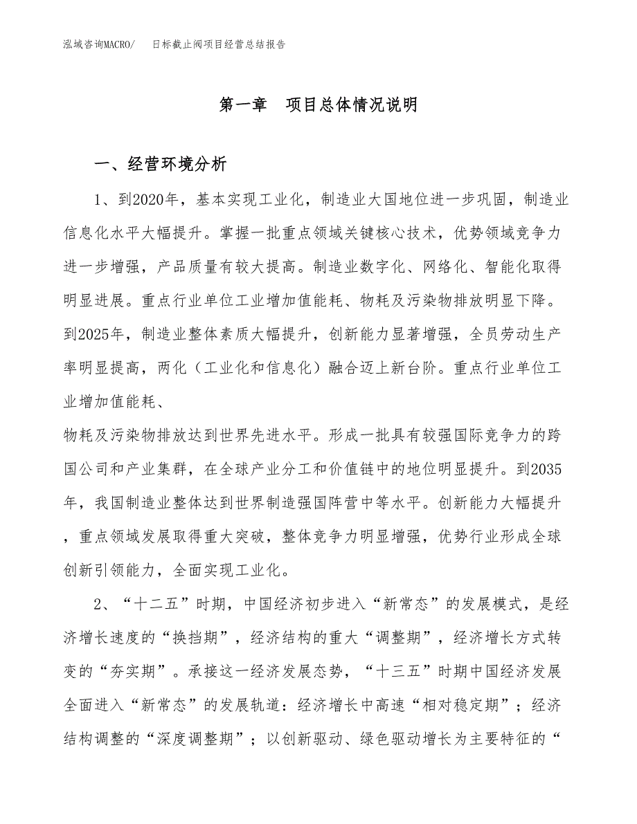 日标截止阀项目经营总结报告范文模板.docx_第2页