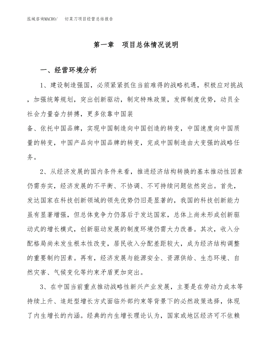 切菜刀项目经营总结报告范文模板.docx_第2页