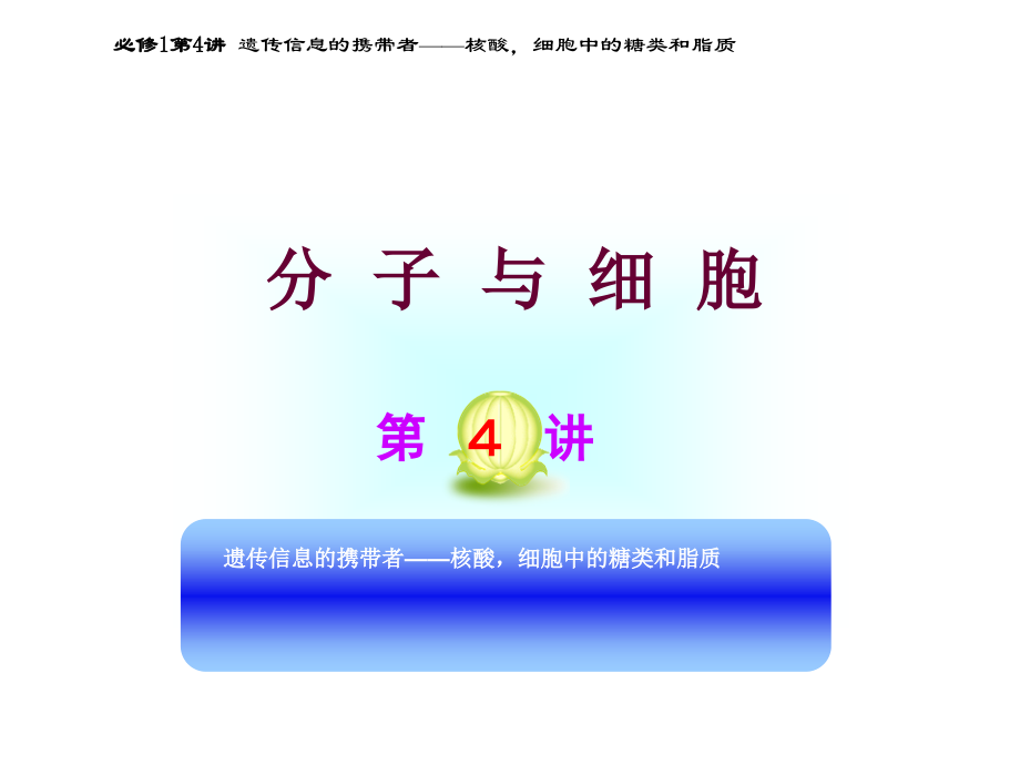 高中生物习遗传信息的携带者核酸细胞中的糖类和脂质课件 新人教版必修_第1页