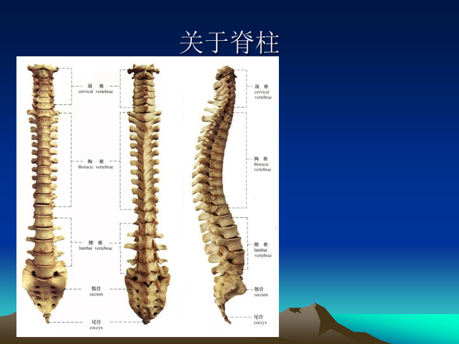 爱爱医资源-腰椎间盘突出症_第4页