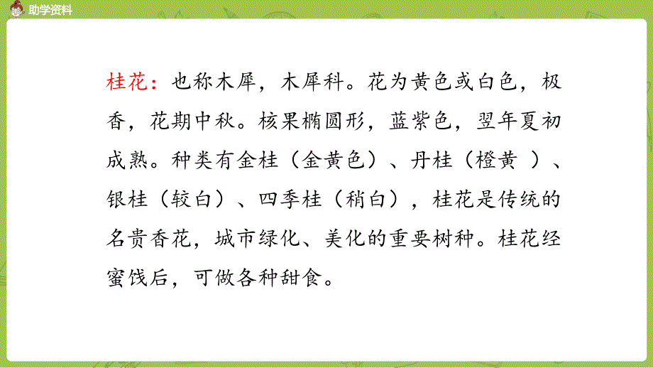 五年级上册语文课件-3《桂花雨》课时1 人教（部编版）_第4页