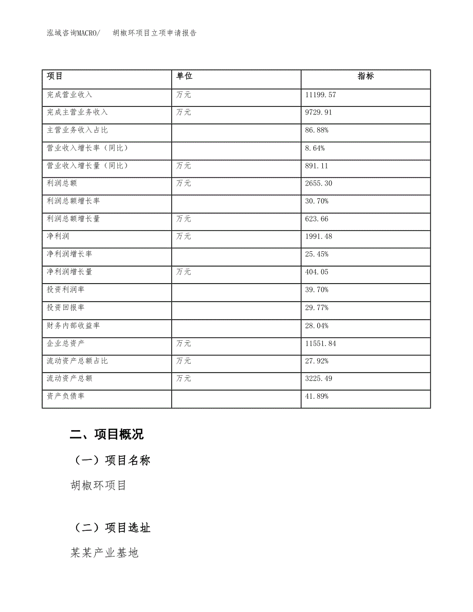 胡椒环项目立项申请报告模板（总投资8000万元）_第4页