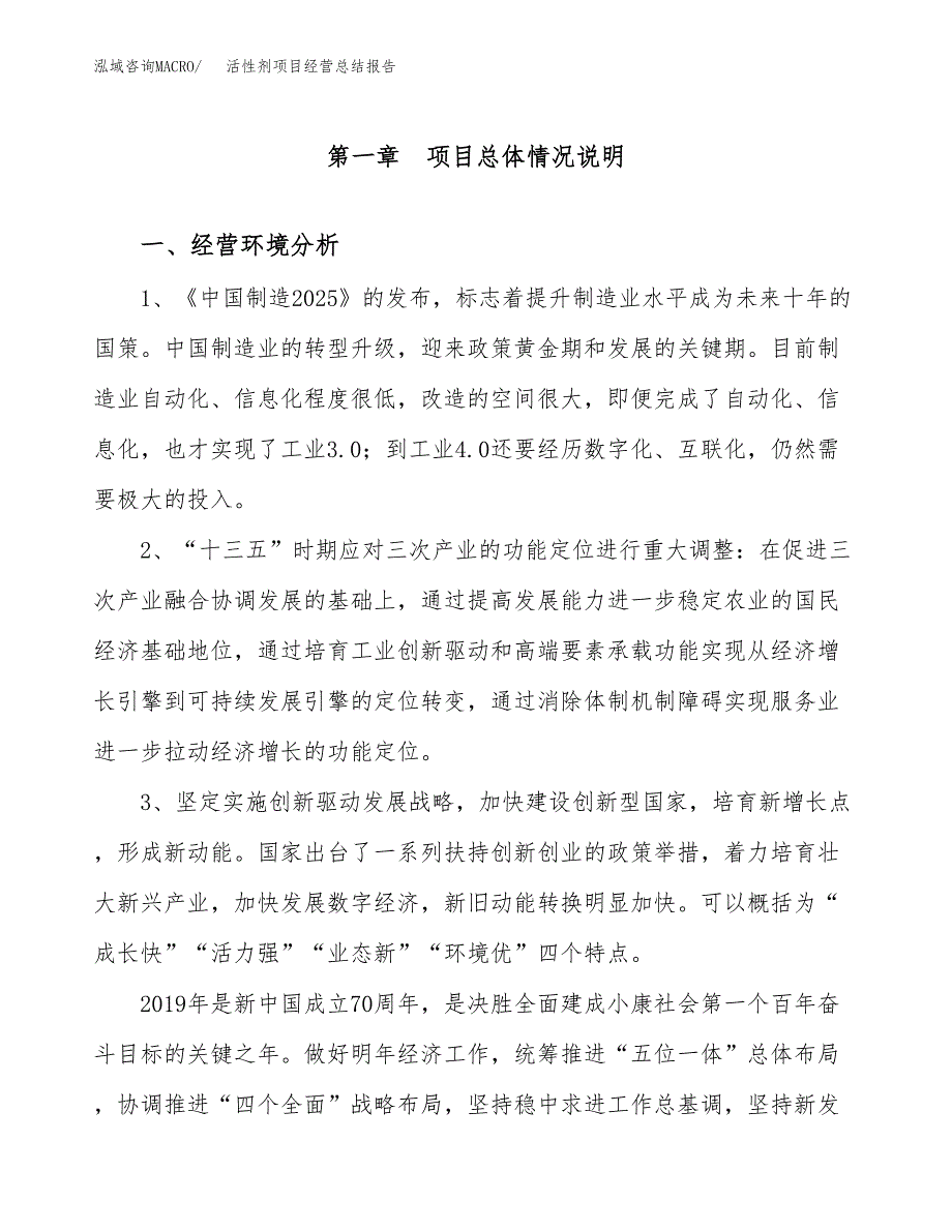 活性剂项目经营总结报告范文模板.docx_第2页