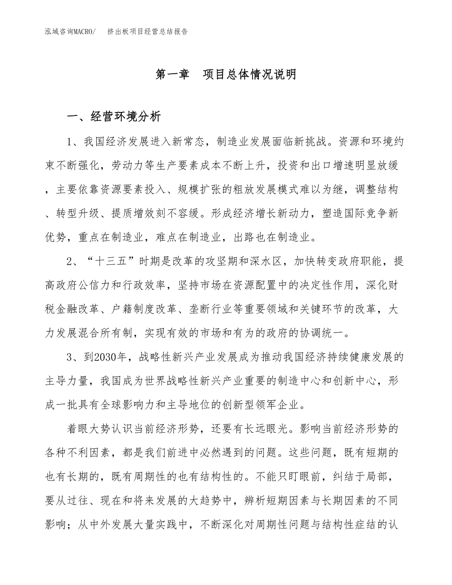 挤出板项目经营总结报告范文模板.docx_第2页