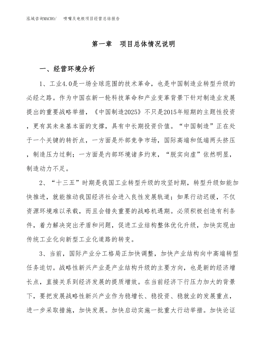 喷嘴及电极项目经营总结报告范文模板.docx_第2页