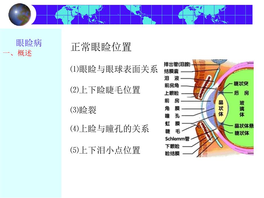 爱爱医资源-眼睑病-课件_第3页