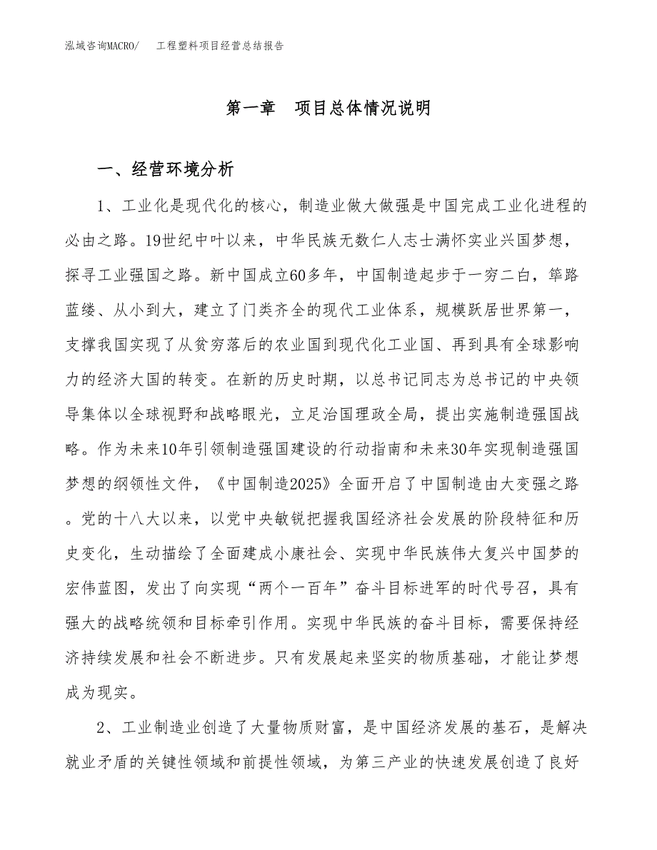 工程塑料项目经营总结报告范文模板.docx_第2页