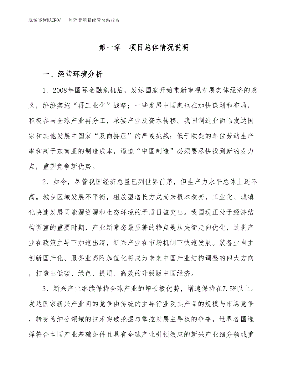 片弹簧项目经营总结报告范文模板.docx_第2页