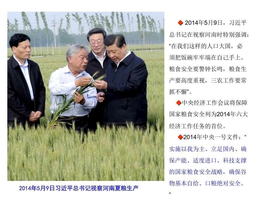 2014年河南小麦十二连增启示_第5页