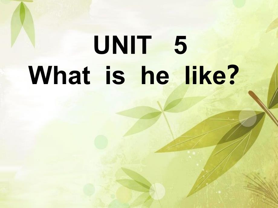 六年级下册英语课件-《unit 5 what is he like》 陕旅版_第1页