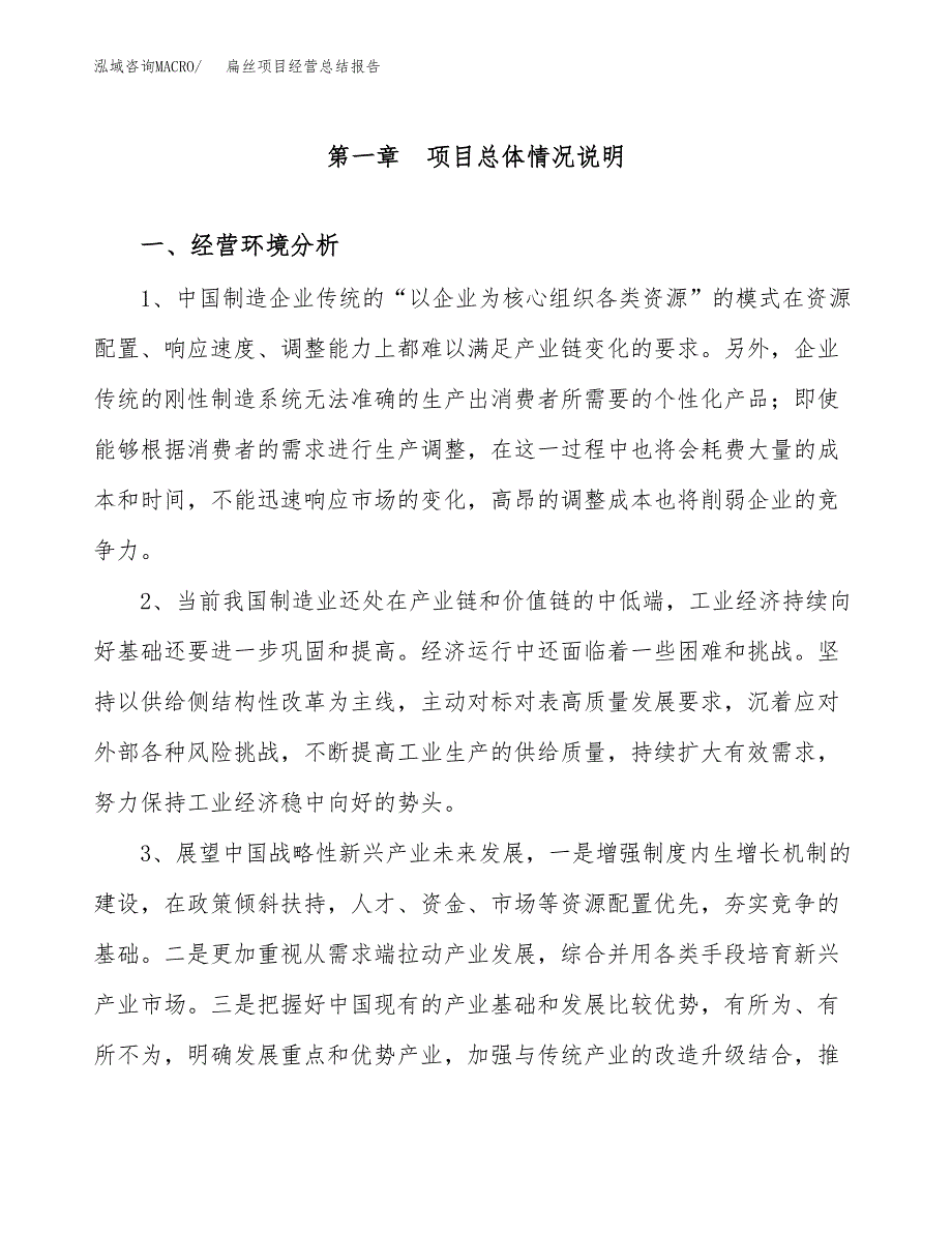 扁丝项目经营总结报告范文模板.docx_第2页