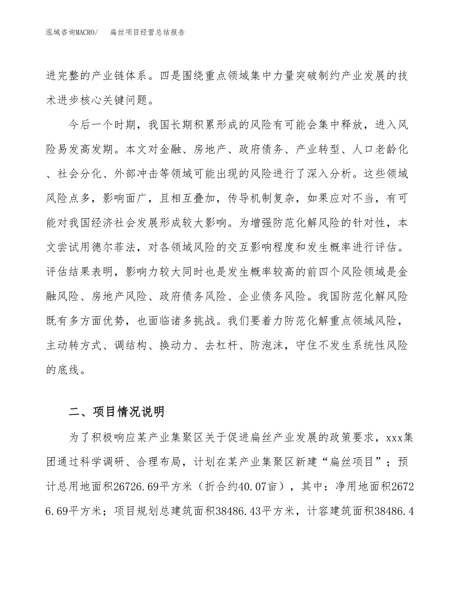 扁丝项目经营总结报告范文模板.docx_第3页