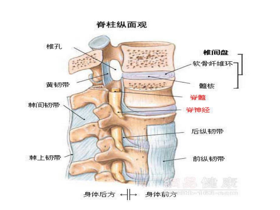 腰椎间盘突出症护理业务学习_第4页