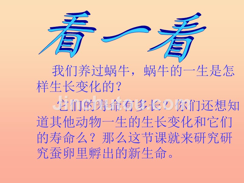 三年级科学下册动物的生命周期1蚕卵里孵出的新生命课件教科版_第2页