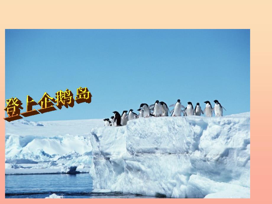 2019年三年级语文上册《登上企鹅岛》课件1 语文a版_第2页
