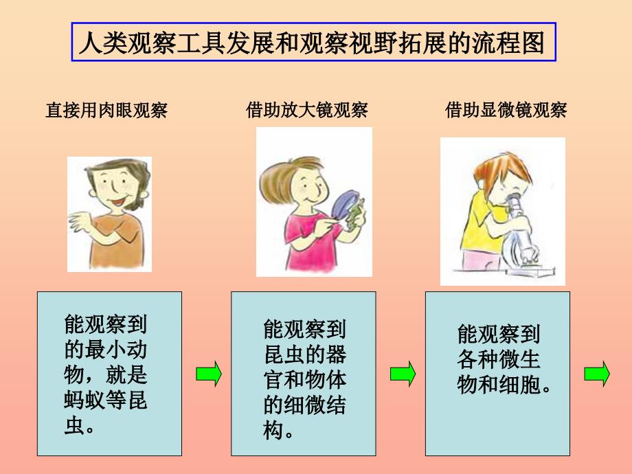 六年级科学下册第一单元微小世界8微小世界和我们课件3教科版_第3页