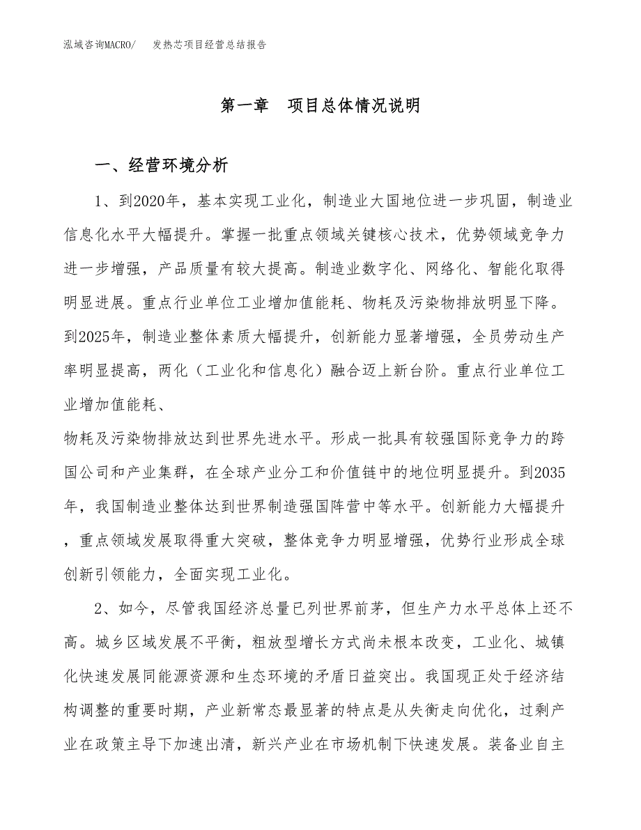 发热芯项目经营总结报告范文模板.docx_第2页