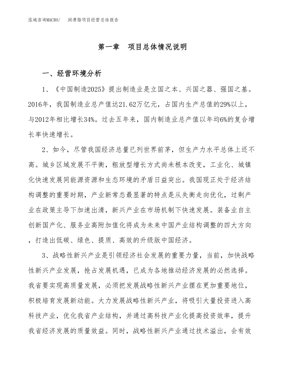 润滑脂项目经营总结报告范文模板.docx_第2页