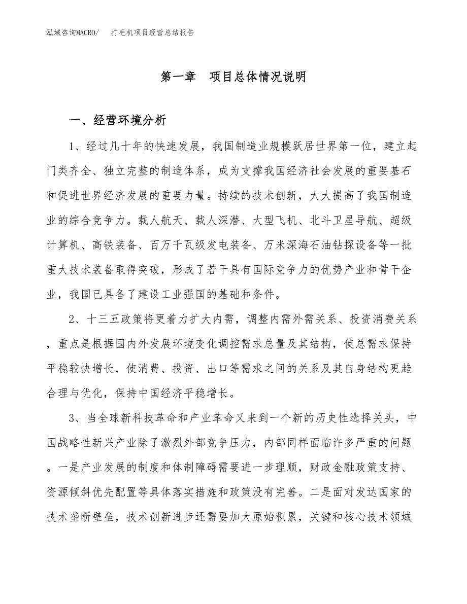 打毛机项目经营总结报告范文模板.docx_第2页