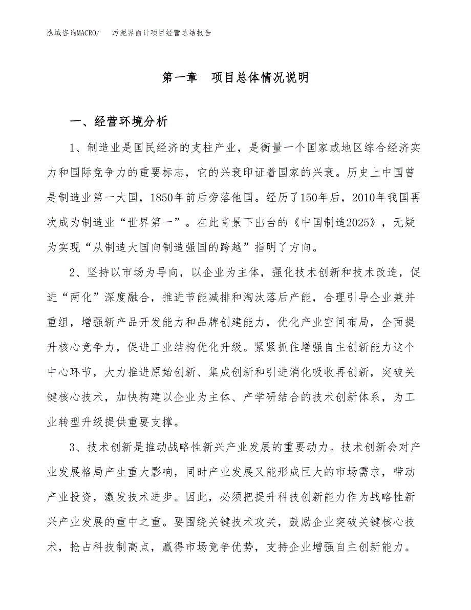 污泥界面计项目经营总结报告范文模板.docx_第2页