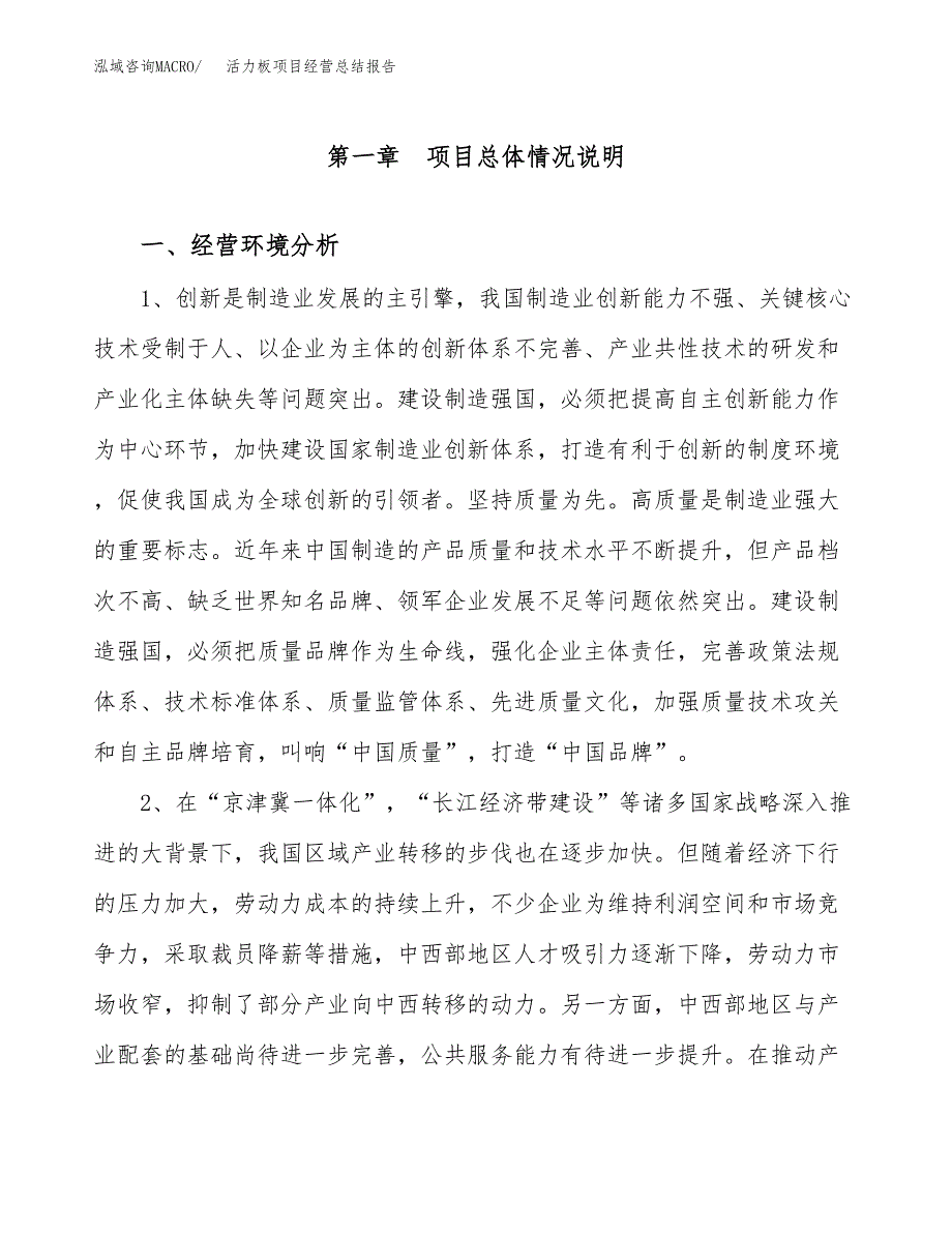 活力板项目经营总结报告范文模板.docx_第2页