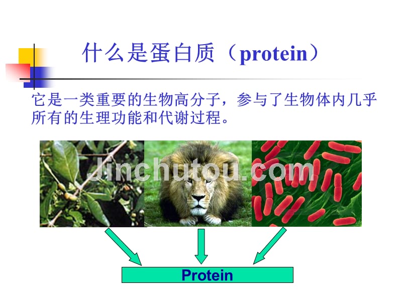 蛋白质组学课件样品制备-中文_第3页