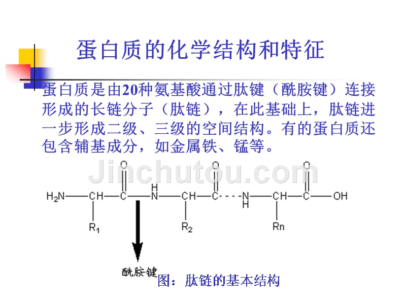 蛋白质组学课件样品制备-中文_第4页