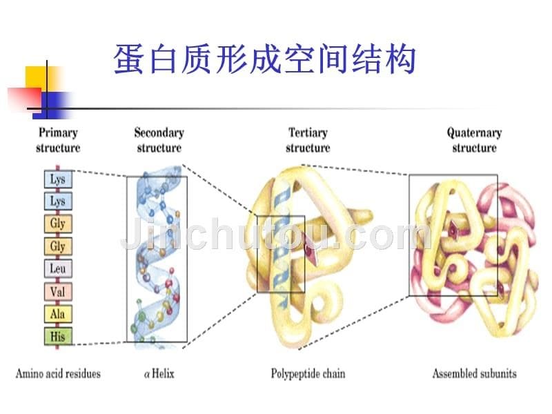 蛋白质组学课件样品制备-中文_第5页