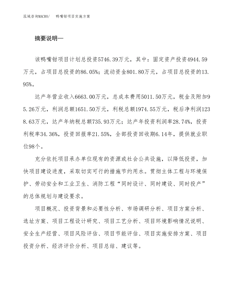 鸭嘴钳项目实施方案(参考模板).docx_第2页