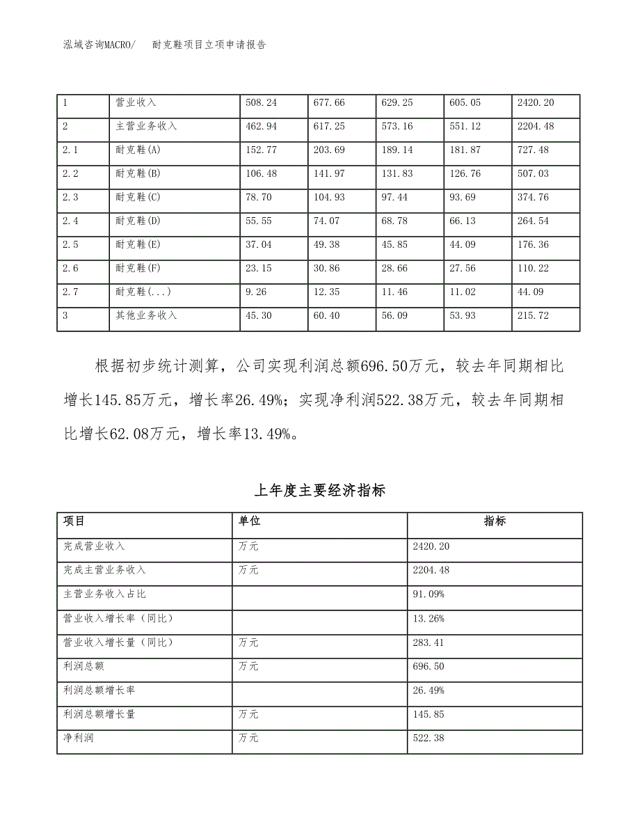 耐克鞋项目立项申请报告模板（总投资4000万元）_第3页