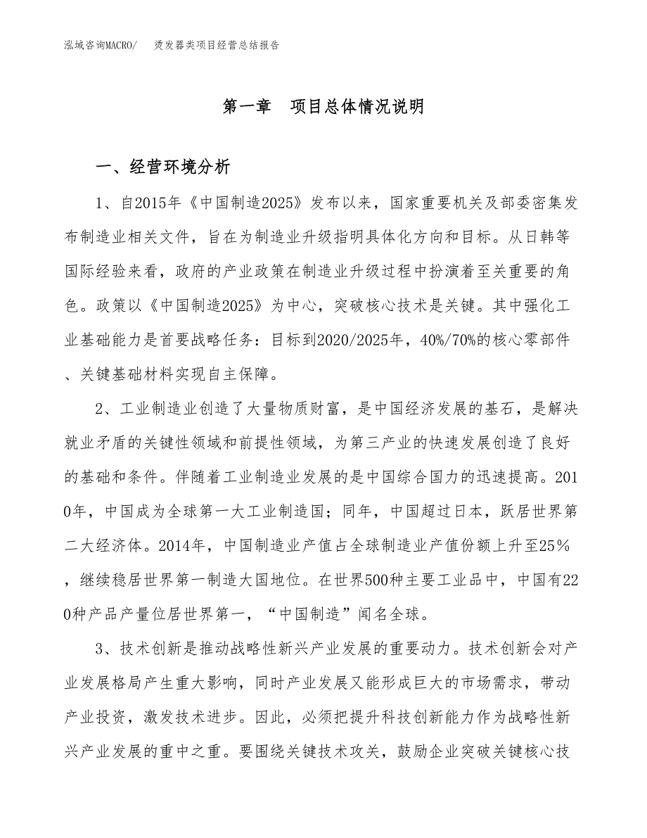 烫发器类项目经营总结报告范文模板.docx_第2页