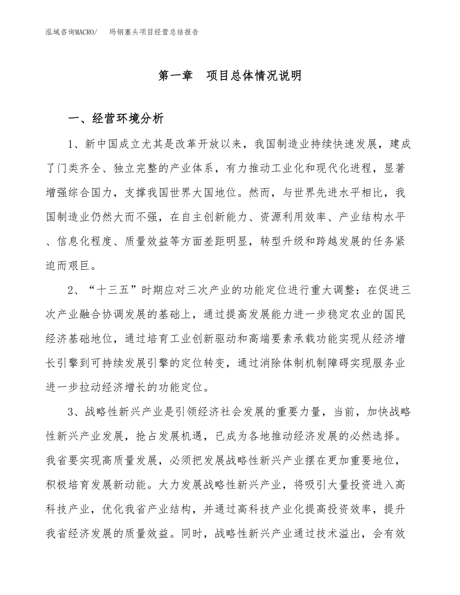 玛钢塞头项目经营总结报告范文模板.docx_第2页