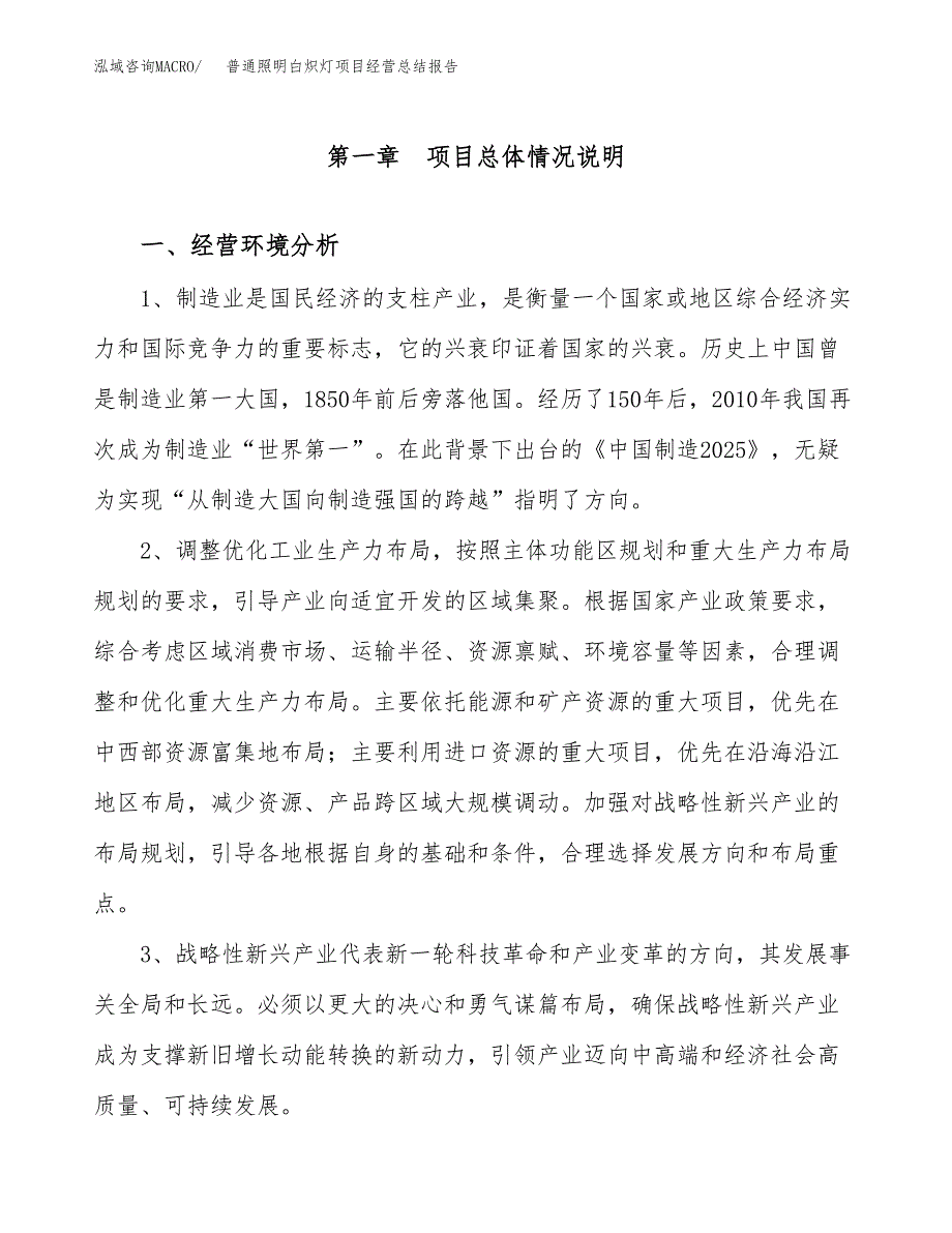 普通照明白炽灯项目经营总结报告范文模板.docx_第2页