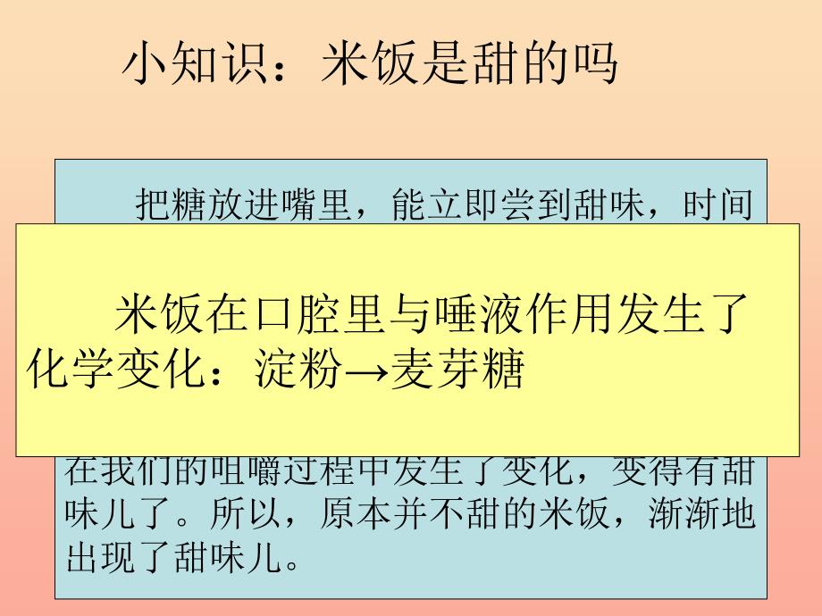 六年级科学下册第二单元物质的变化3米饭淀粉和碘酒的变化课件教科版_第4页